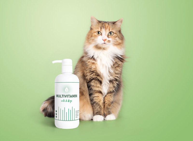 Katze und Flasche mit Etikett für Futterergänzungsmittel