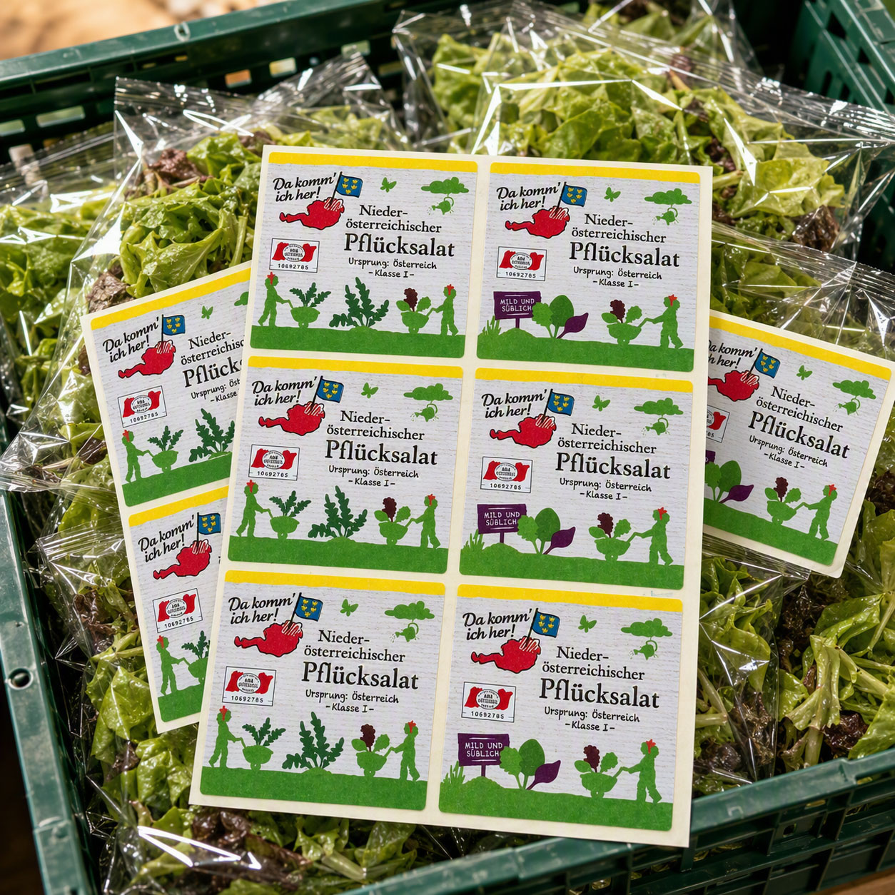 Pflücksalat Etikett
